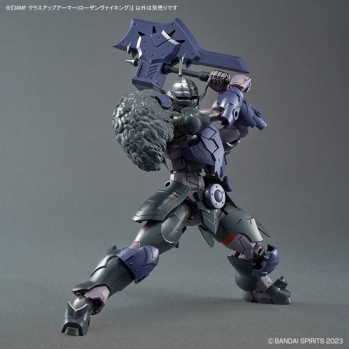 30MF クラスアップアーマー(ローザンヴァイキング)