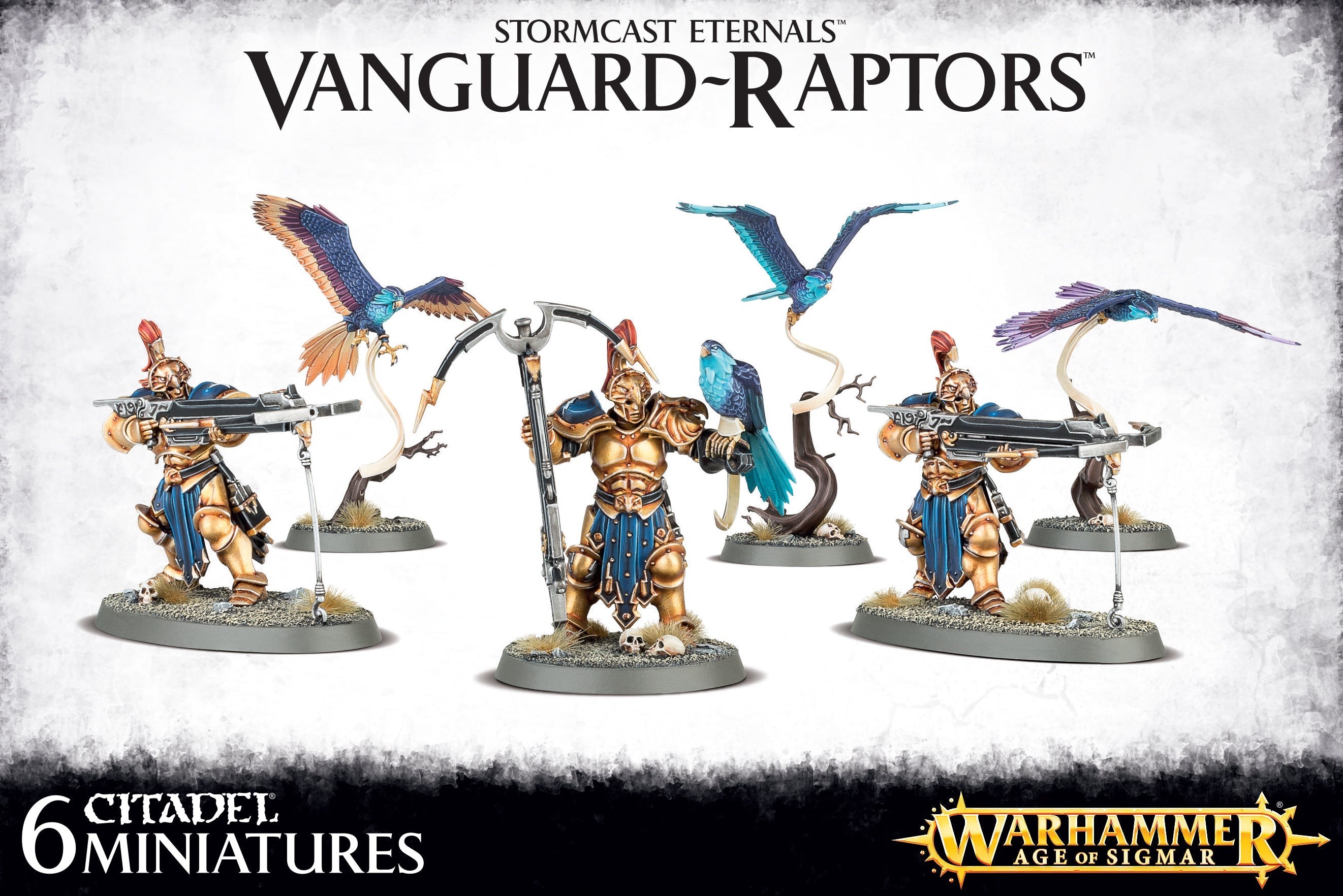 STORMCAST ETERNALS: VANGUARD-RAPTORS ストームキャスト・エターナル:ヴァンガード・ラプター
