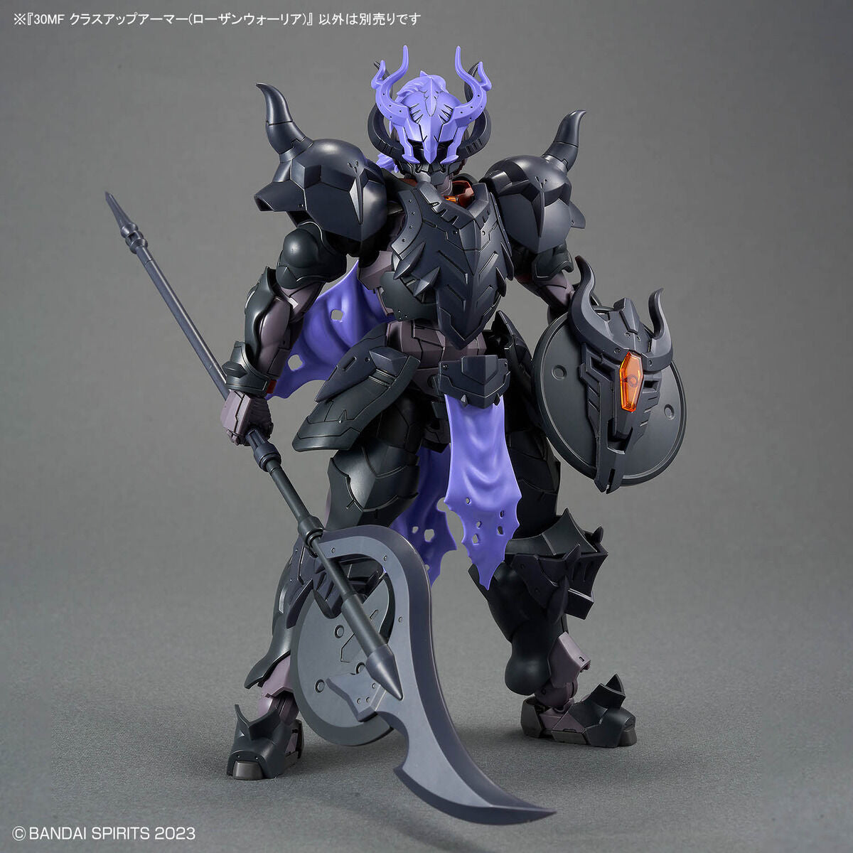 30MF クラスアップアーマー(ローザンウォーリア)