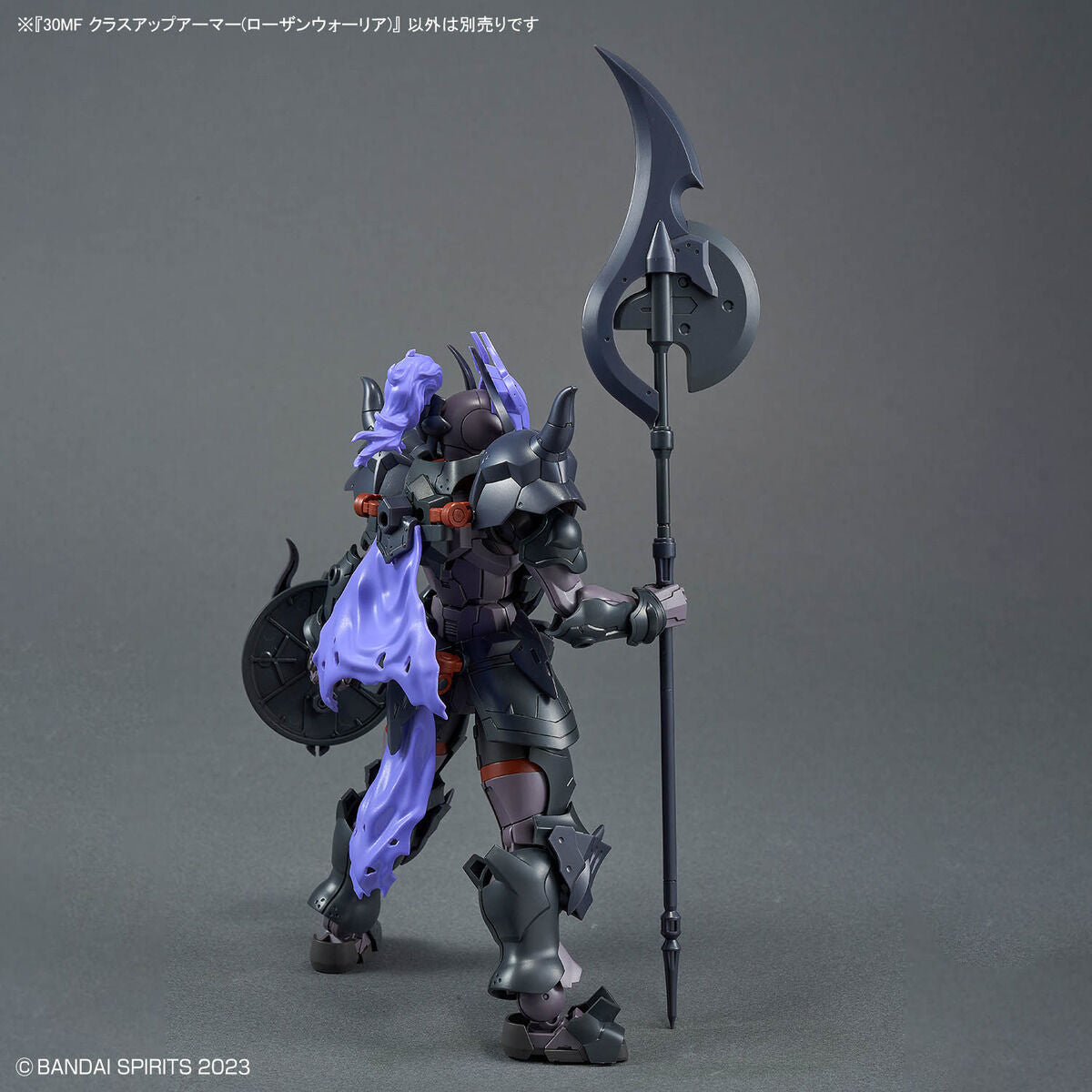 30MF クラスアップアーマー(ローザンウォーリア)