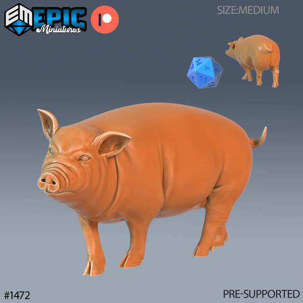 Farm Animal Pig (Medium)