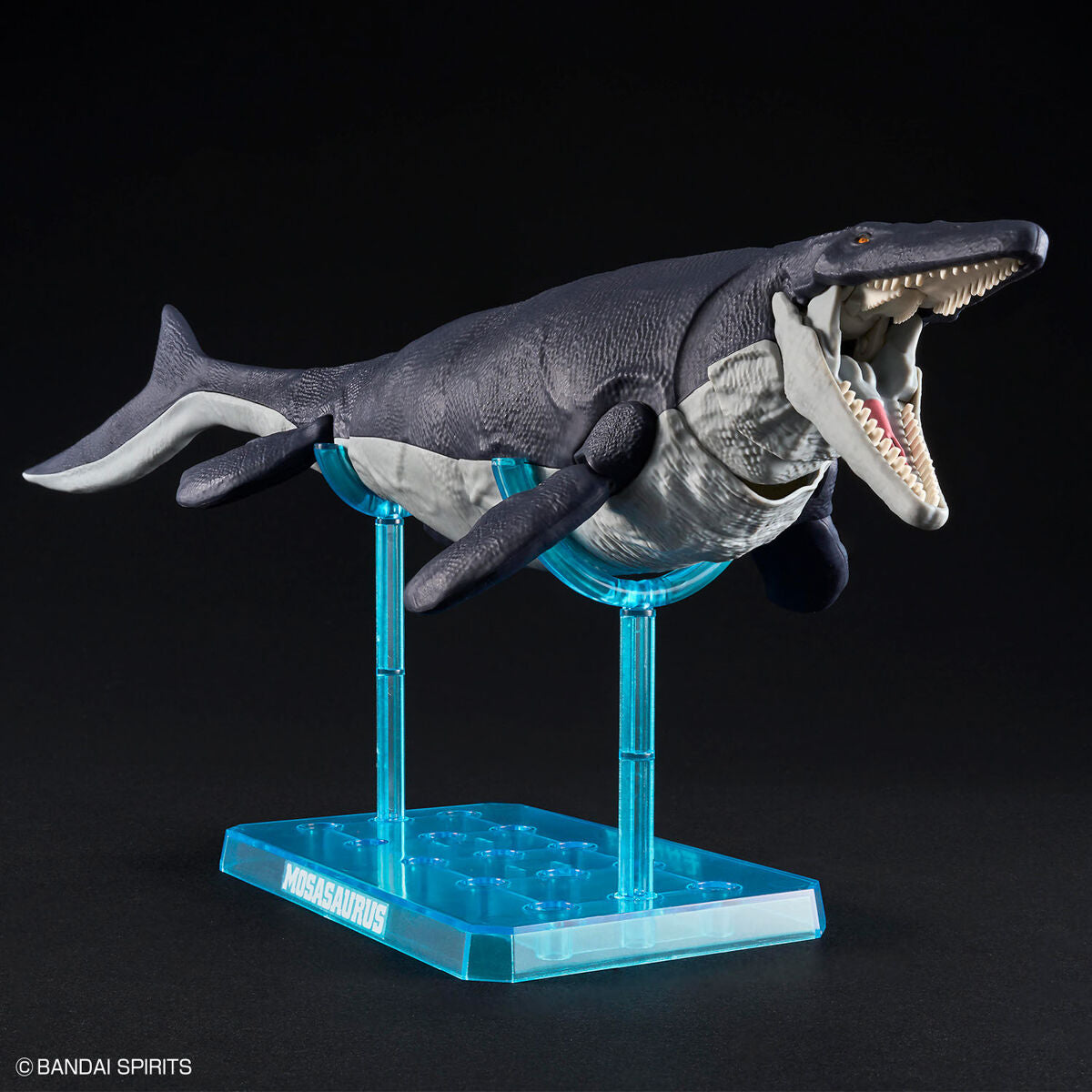 ﾌﾟﾗﾉｻｳﾙｽ04 ﾓｻｻｳﾙｽ