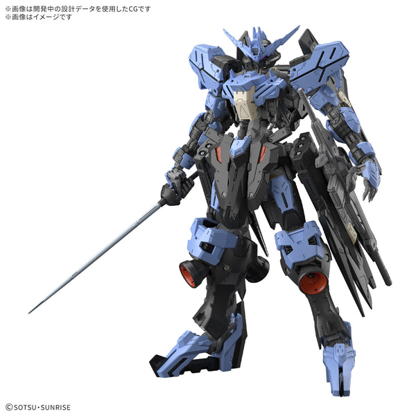 【まとめ依頼大歓迎❗️】 mg ガンダムヴィダール MG 1/100 ガンダムヴィダール