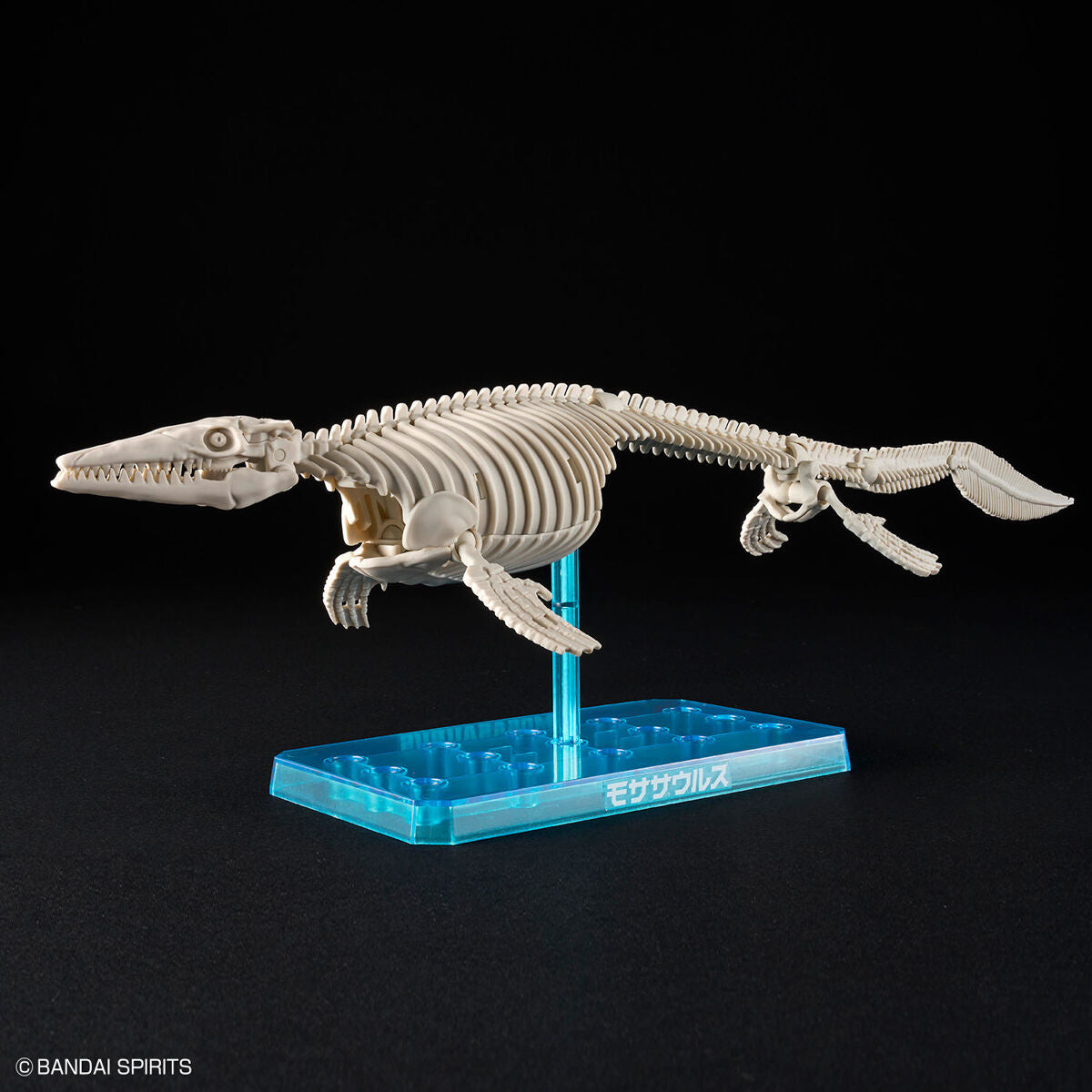 ﾌﾟﾗﾉｻｳﾙｽ04 ﾓｻｻｳﾙｽ