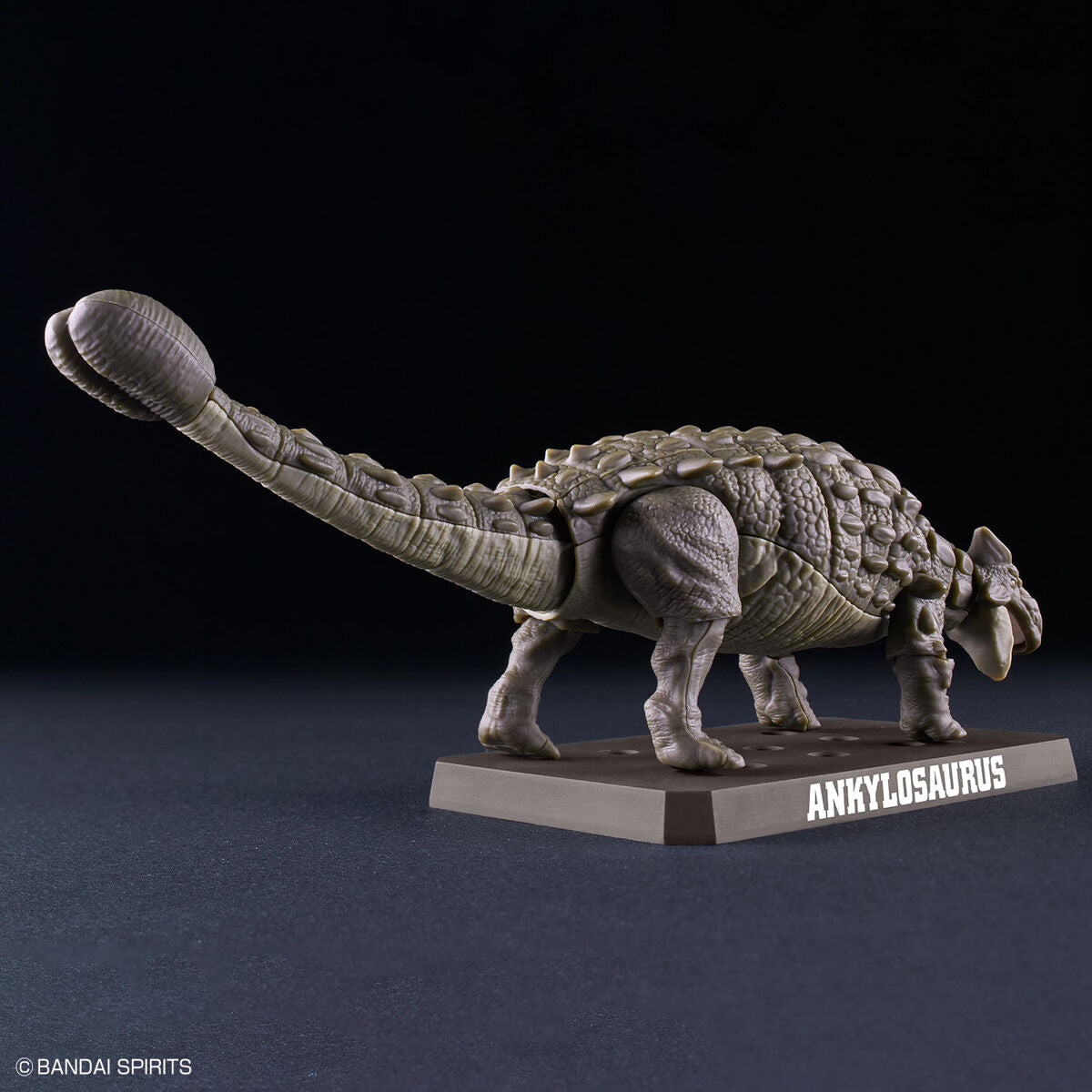 ﾌﾟﾗﾉｻｳﾙｽ06ｱﾝｷﾛｻｳﾙｽ