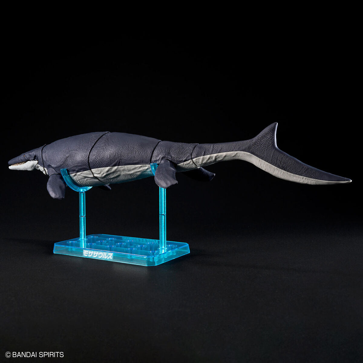 ﾌﾟﾗﾉｻｳﾙｽ04 ﾓｻｻｳﾙｽ