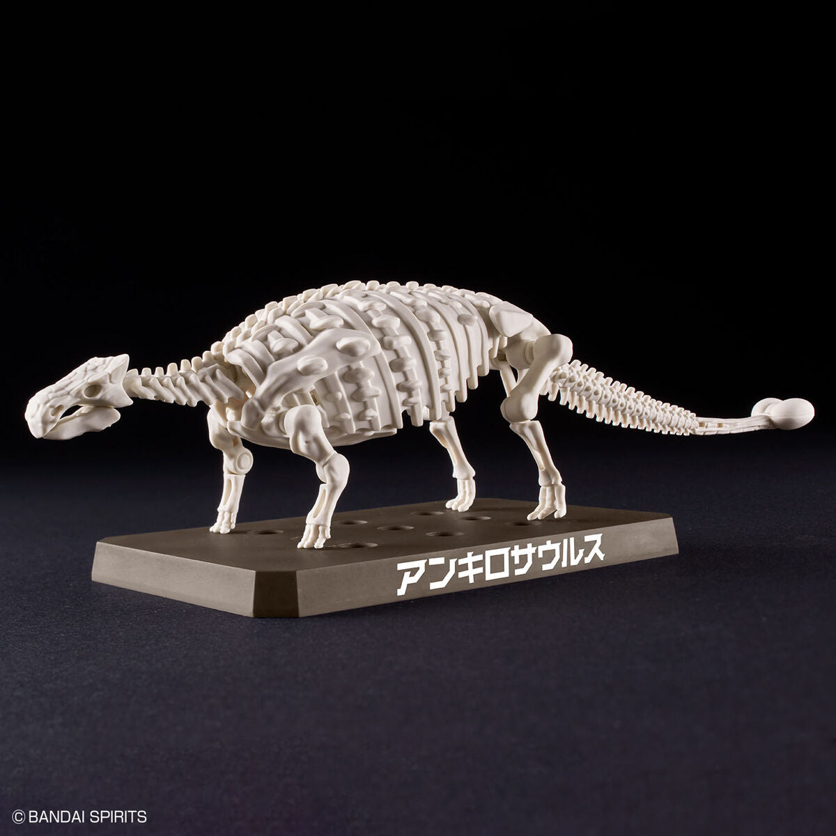 ﾌﾟﾗﾉｻｳﾙｽ06ｱﾝｷﾛｻｳﾙｽ