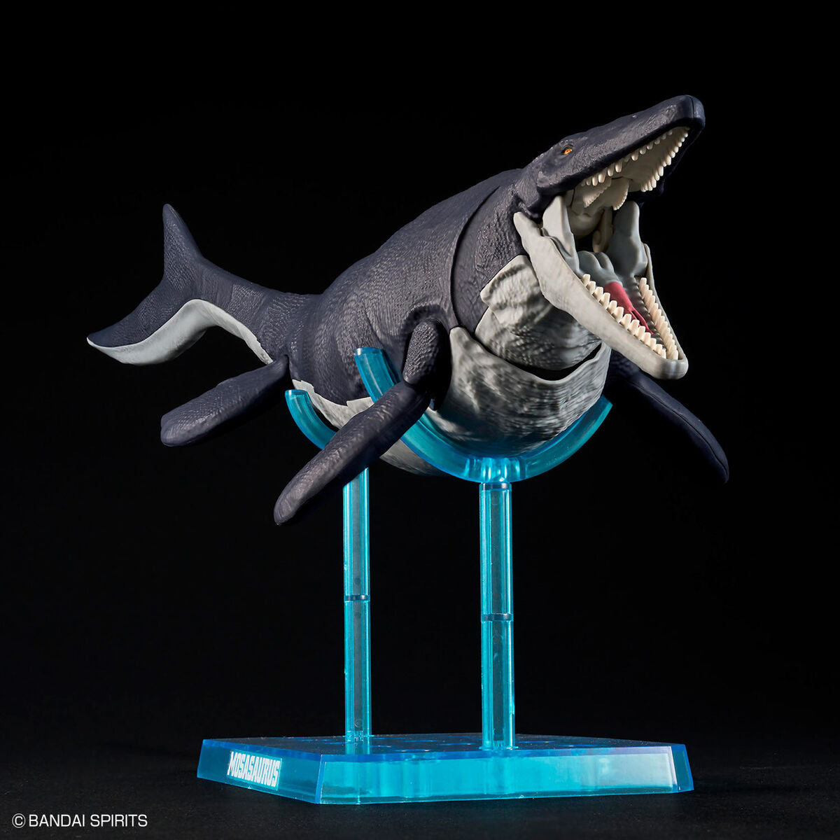 ﾌﾟﾗﾉｻｳﾙｽ04 ﾓｻｻｳﾙｽ