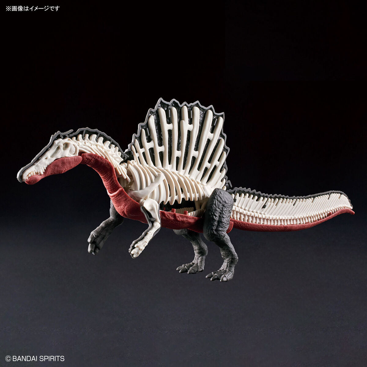 ﾊﾞﾝﾀﾞｲﾌﾟﾗﾉｻｳﾙｽ05 ｽﾋﾟﾉｻｳﾙｽ
