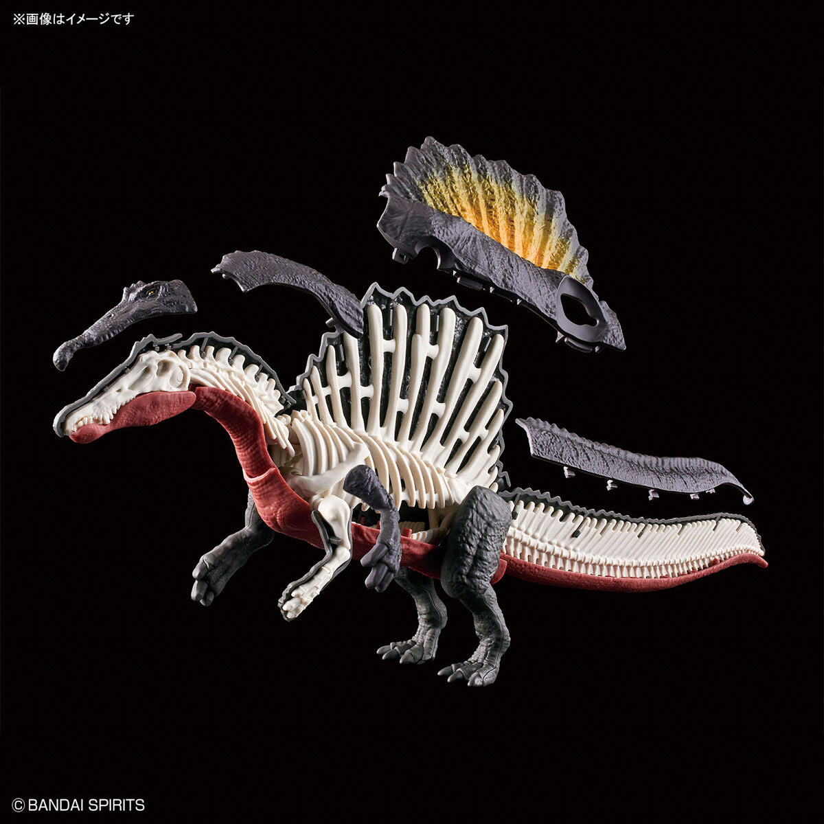 ﾊﾞﾝﾀﾞｲﾌﾟﾗﾉｻｳﾙｽ05 ｽﾋﾟﾉｻｳﾙｽ