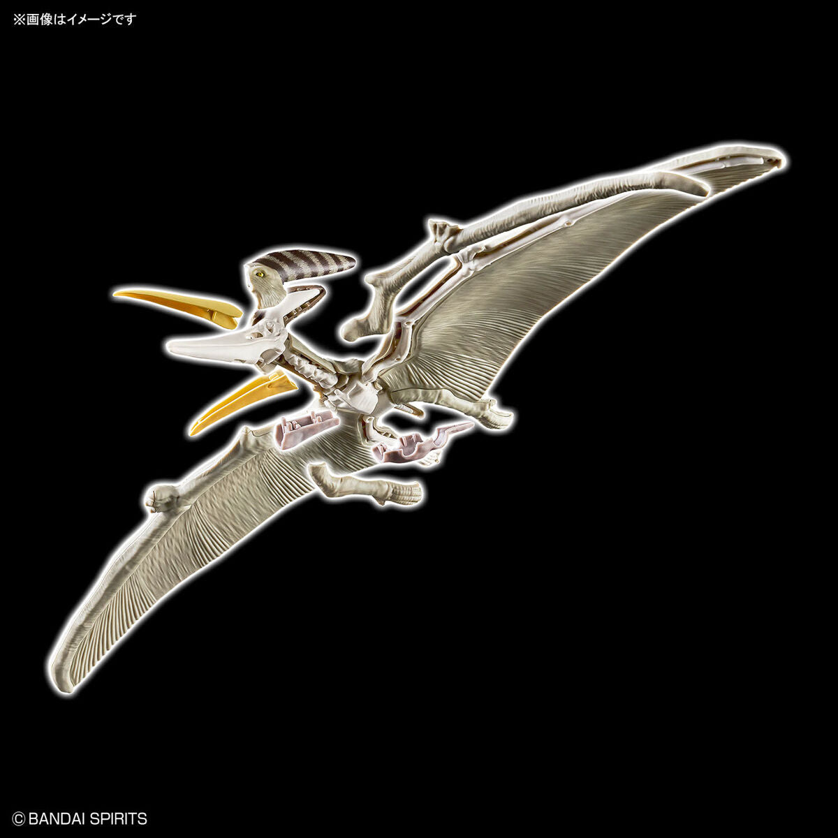 ﾌﾟﾗﾉｻｳﾙｽ07 ﾌﾟﾃﾗﾉﾄﾞﾝ