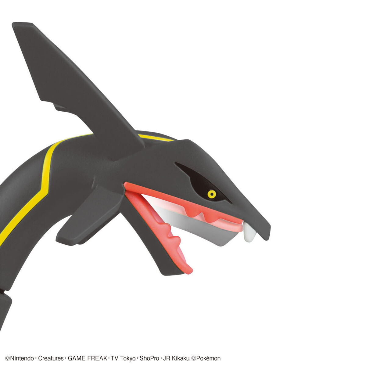 ﾎﾟｹﾓﾝﾌﾟﾗﾓC ｾﾚｸﾄｼﾘｰｽﾞ黒いﾚｯｸｳｻﾞ