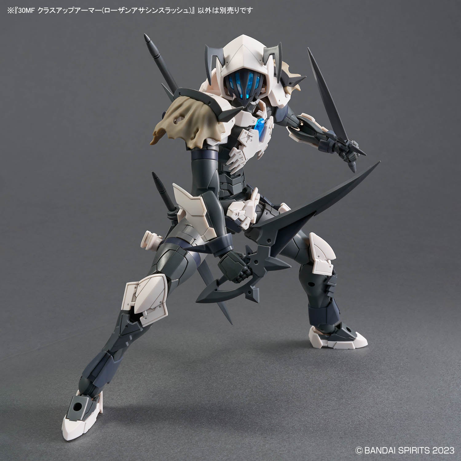 30MF クラスアップアーマー(ローザンアサシンスラッシュ)