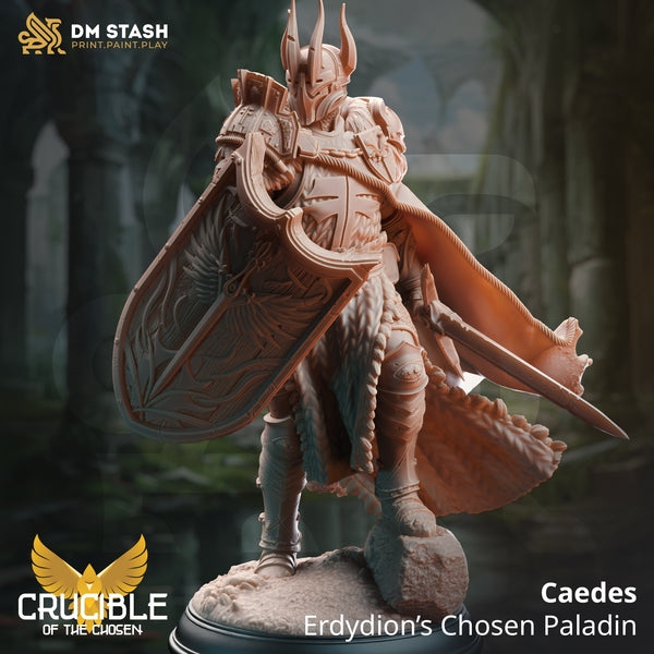 Caedes - Erdydion’s Chosen Paladin [Medium Sized Model - 25mm base]