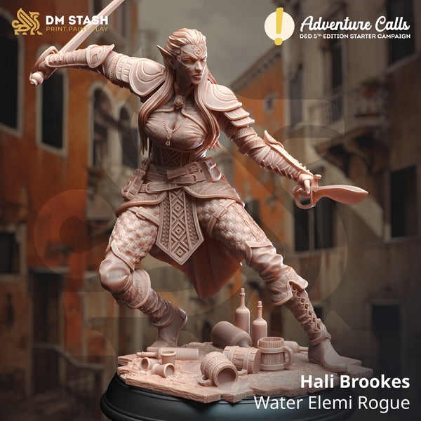 Hali Brookes - Water Elemi Rogue [Medium Sized Model - 25mm base]