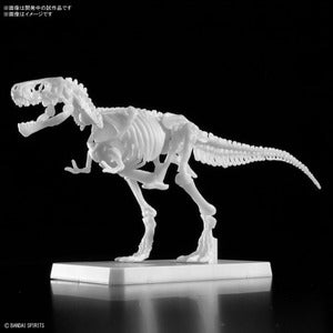 ﾌﾟﾗﾉｻｳﾙｽ01 ﾃｨﾗﾉｻｳﾙｽ ﾍﾟｲﾝﾃｨﾝｸﾞ Ver.