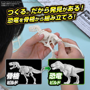 ﾌﾟﾗﾉｻｳﾙｽ01 ﾃｨﾗﾉｻｳﾙｽ ﾍﾟｲﾝﾃｨﾝｸﾞ Ver.