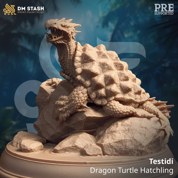 Testidi - Dragon Turtle Hatchling [Large Sized Model - 50mm base]