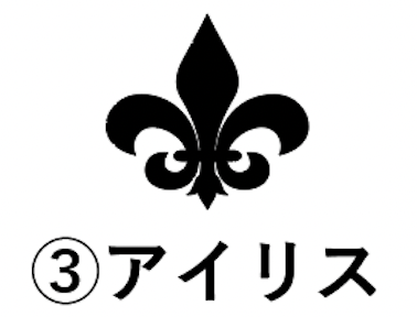 ウンズトラッカー小（黄）