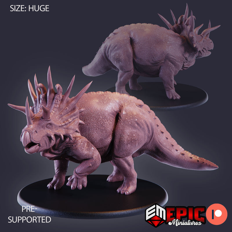Triceratops 2 Variations (Huge)