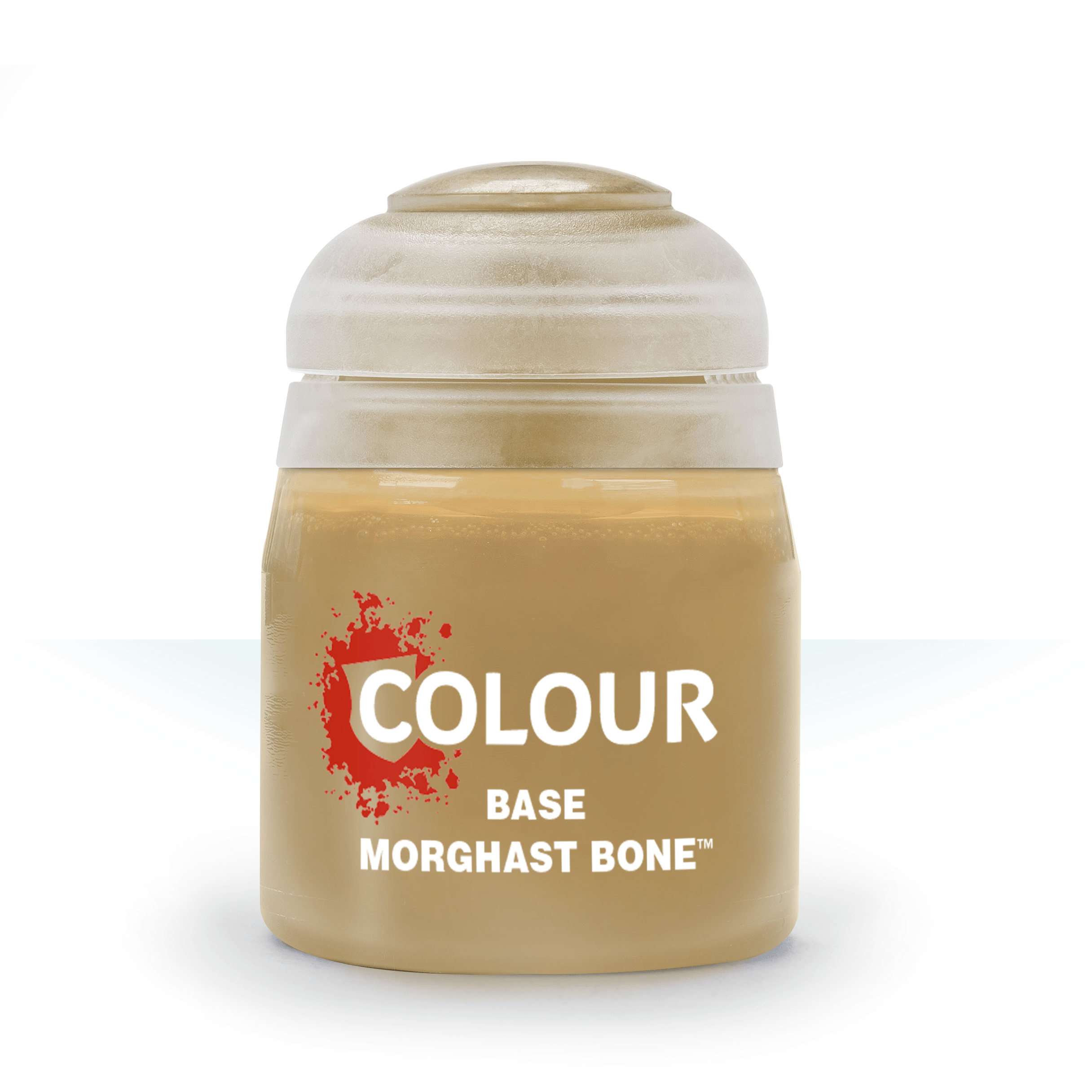 BASE: MORGHAST BONE モルガスト・ボーン