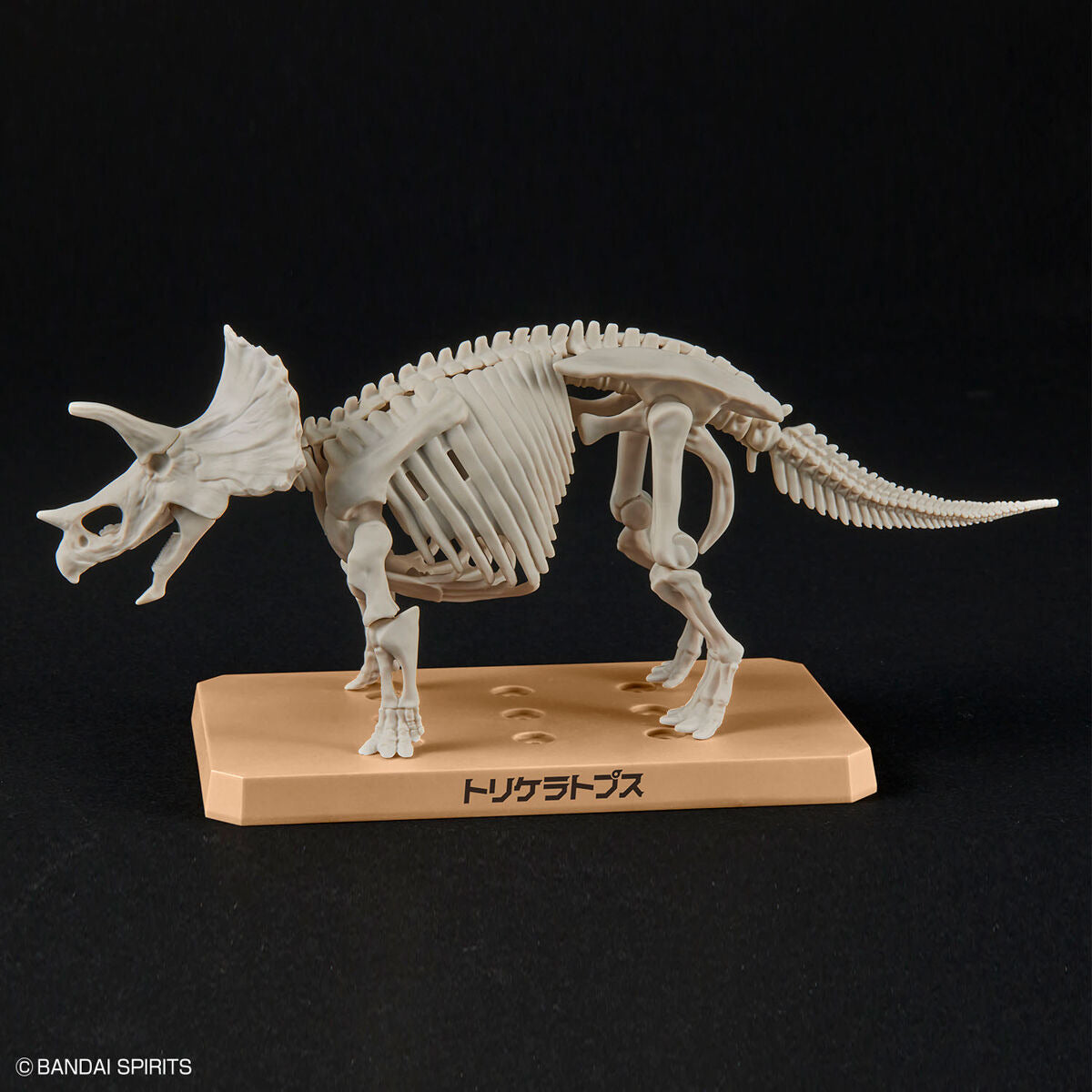 ﾌﾟﾗﾉｻｳﾙｽ02 ﾄﾘｹﾗﾄﾌﾟｽ
