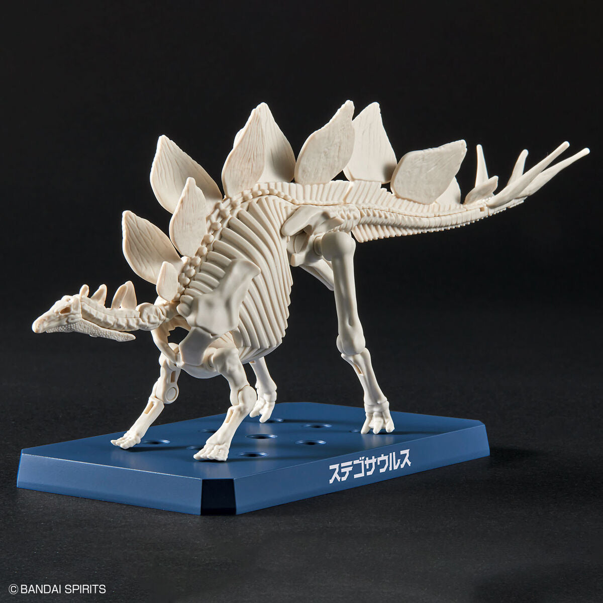 ﾌﾟﾗﾉｻｳﾙｽ03 ｽﾃｺﾞｻｳﾙｽ