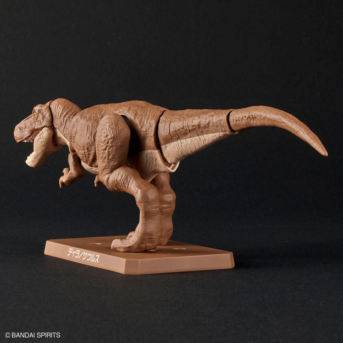 ﾌﾟﾗﾉｻｳﾙｽ01 ﾃｨﾗﾉｻｳﾙｽ