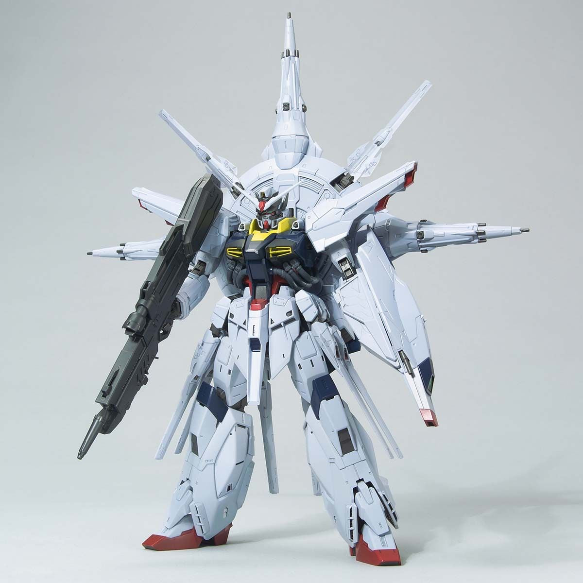 1/100MG ﾌﾟﾛｳﾞｨﾃﾞﾝｽｶﾞﾝﾀﾞﾑ