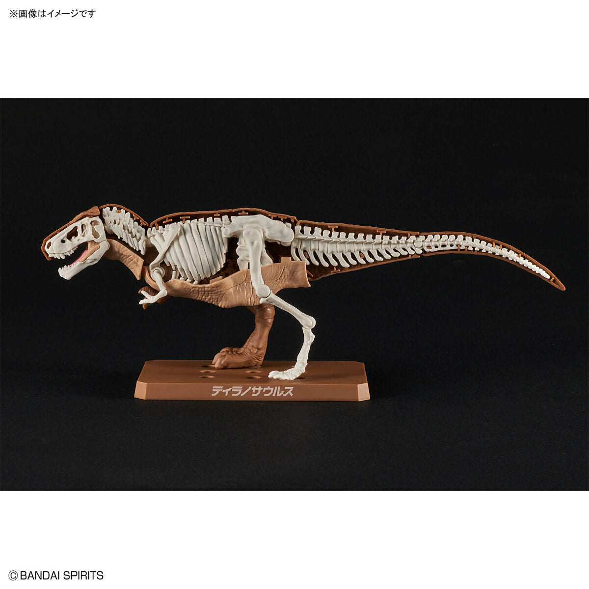 ﾌﾟﾗﾉｻｳﾙｽ01 ﾃｨﾗﾉｻｳﾙｽ