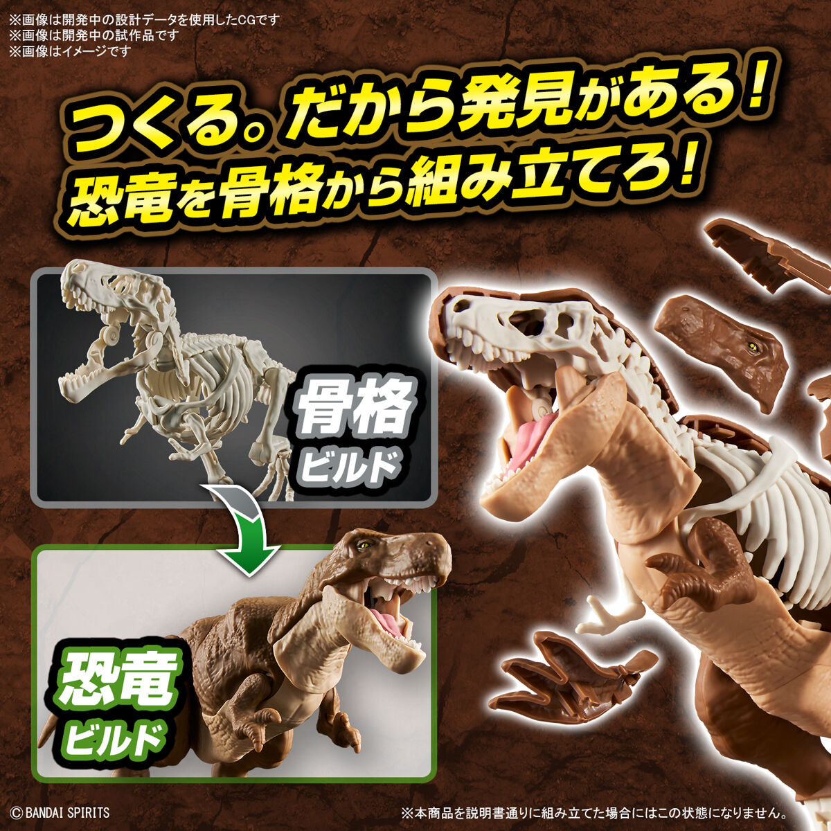 ﾌﾟﾗﾉｻｳﾙｽ01 ﾃｨﾗﾉｻｳﾙｽ