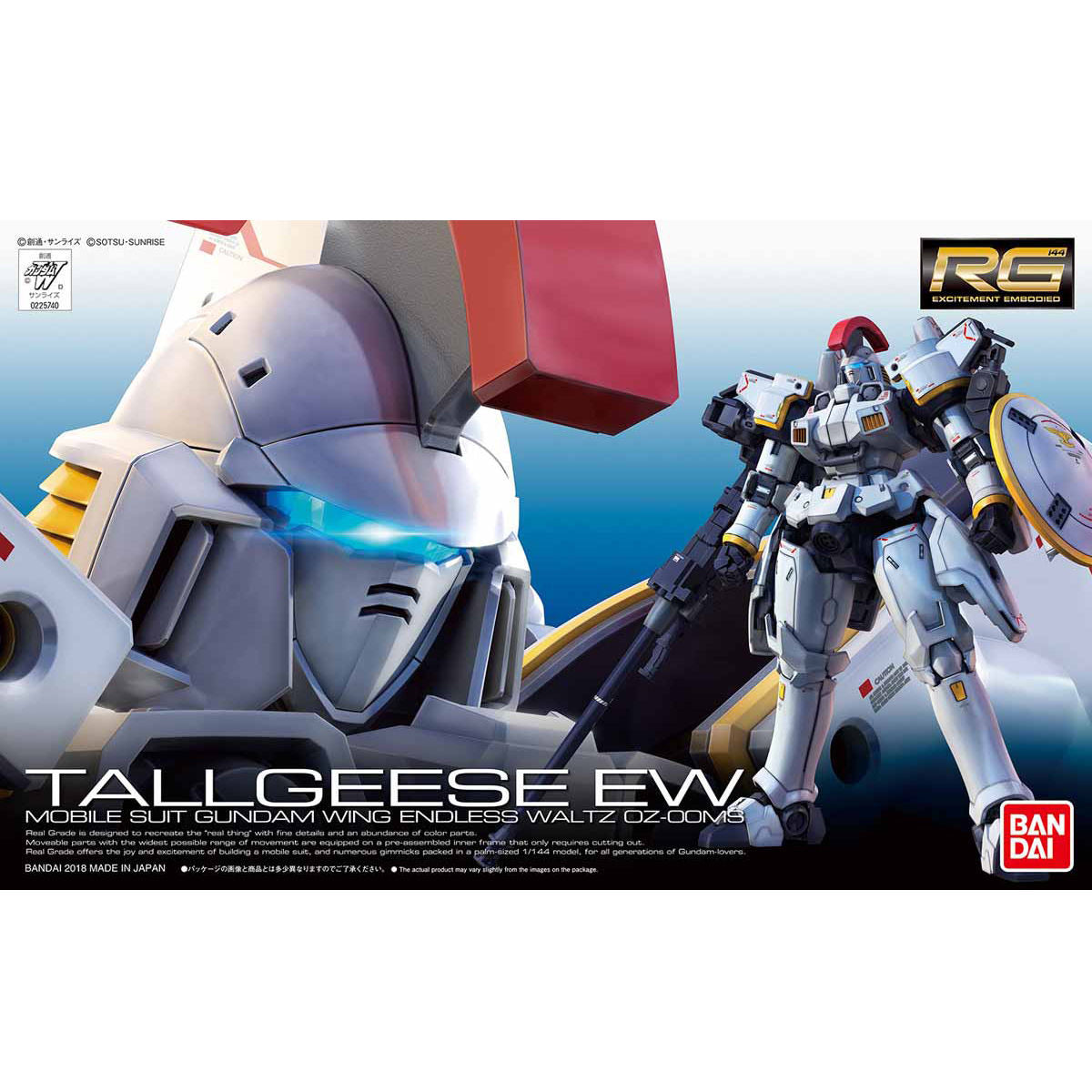 1/144RG028 ﾄｰﾙｷﾞｽEW