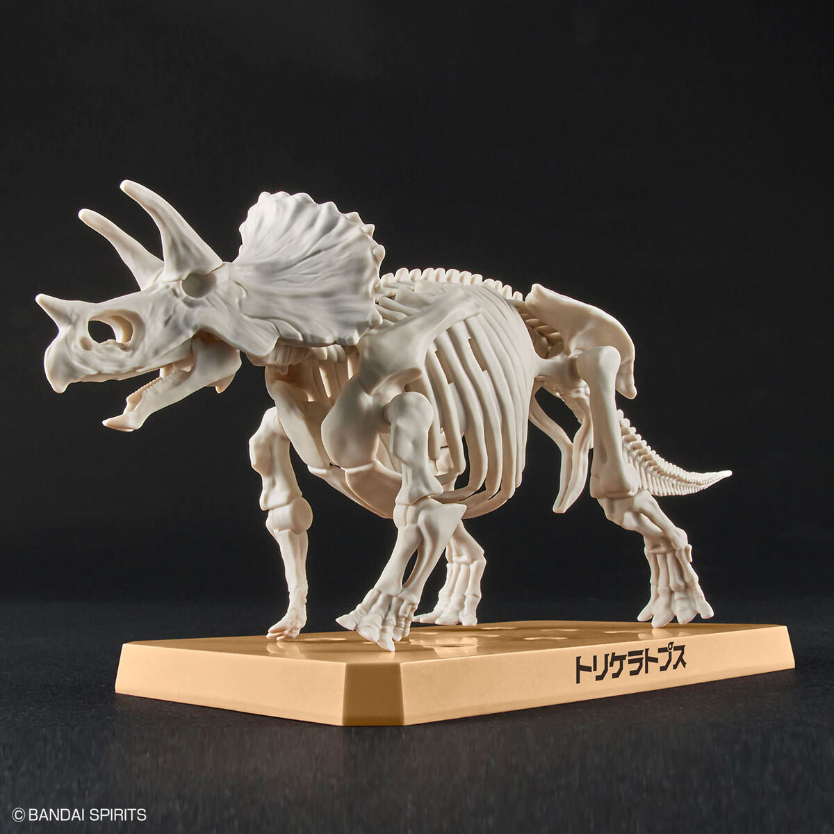 ﾌﾟﾗﾉｻｳﾙｽ02 ﾄﾘｹﾗﾄﾌﾟｽ