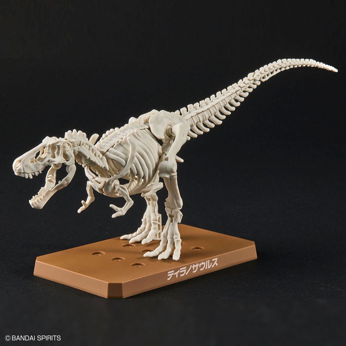 ﾌﾟﾗﾉｻｳﾙｽ01 ﾃｨﾗﾉｻｳﾙｽ