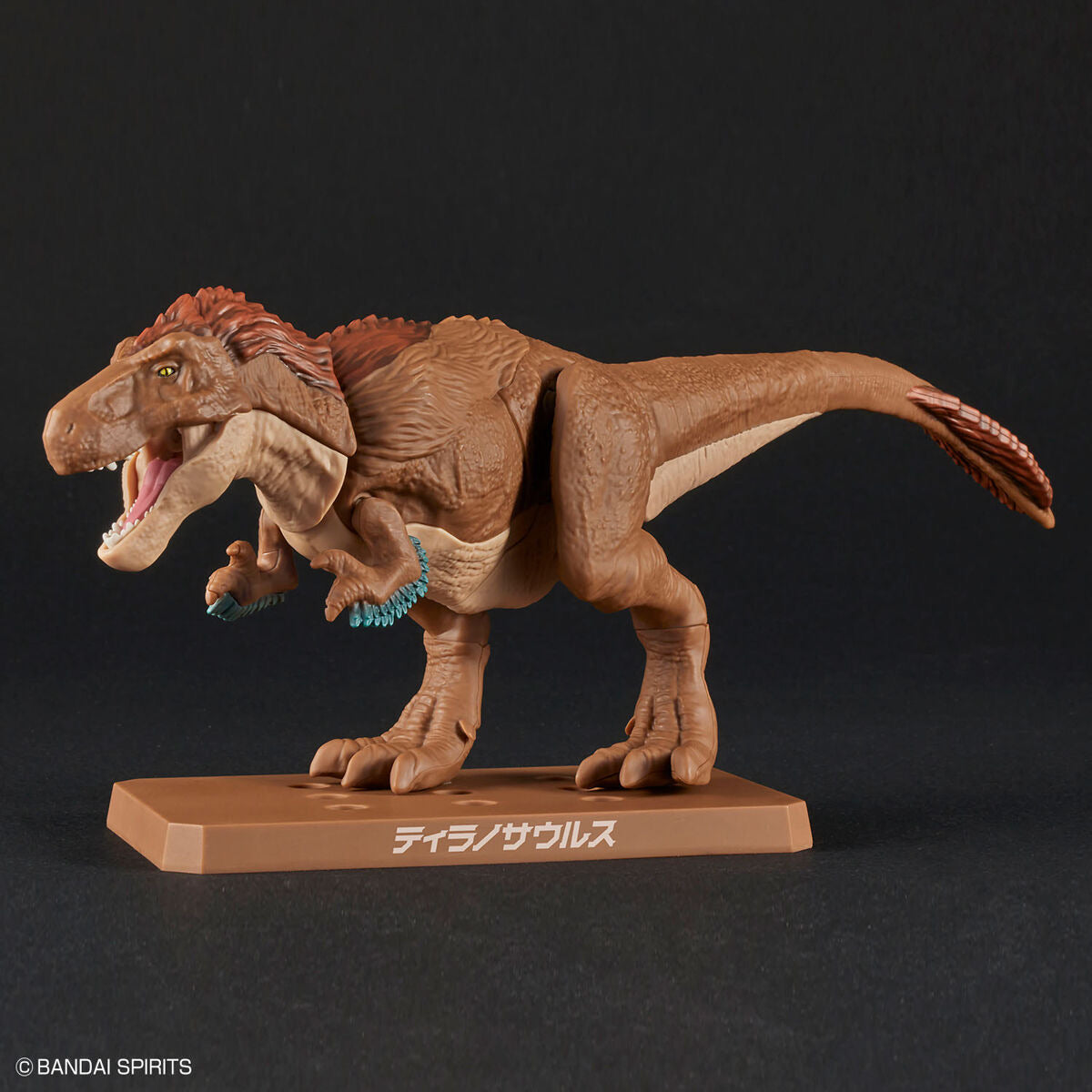 ﾌﾟﾗﾉｻｳﾙｽ01 ﾃｨﾗﾉｻｳﾙｽ