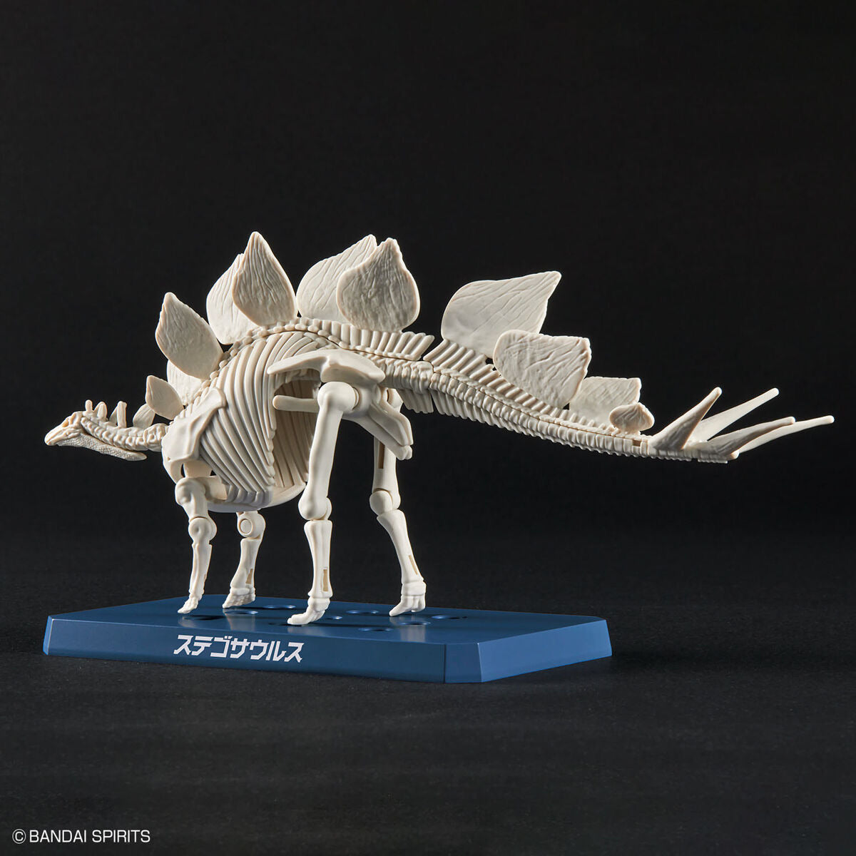 ﾌﾟﾗﾉｻｳﾙｽ03 ｽﾃｺﾞｻｳﾙｽ