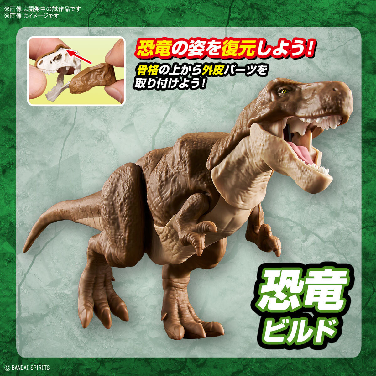 ﾌﾟﾗﾉｻｳﾙｽ01 ﾃｨﾗﾉｻｳﾙｽ