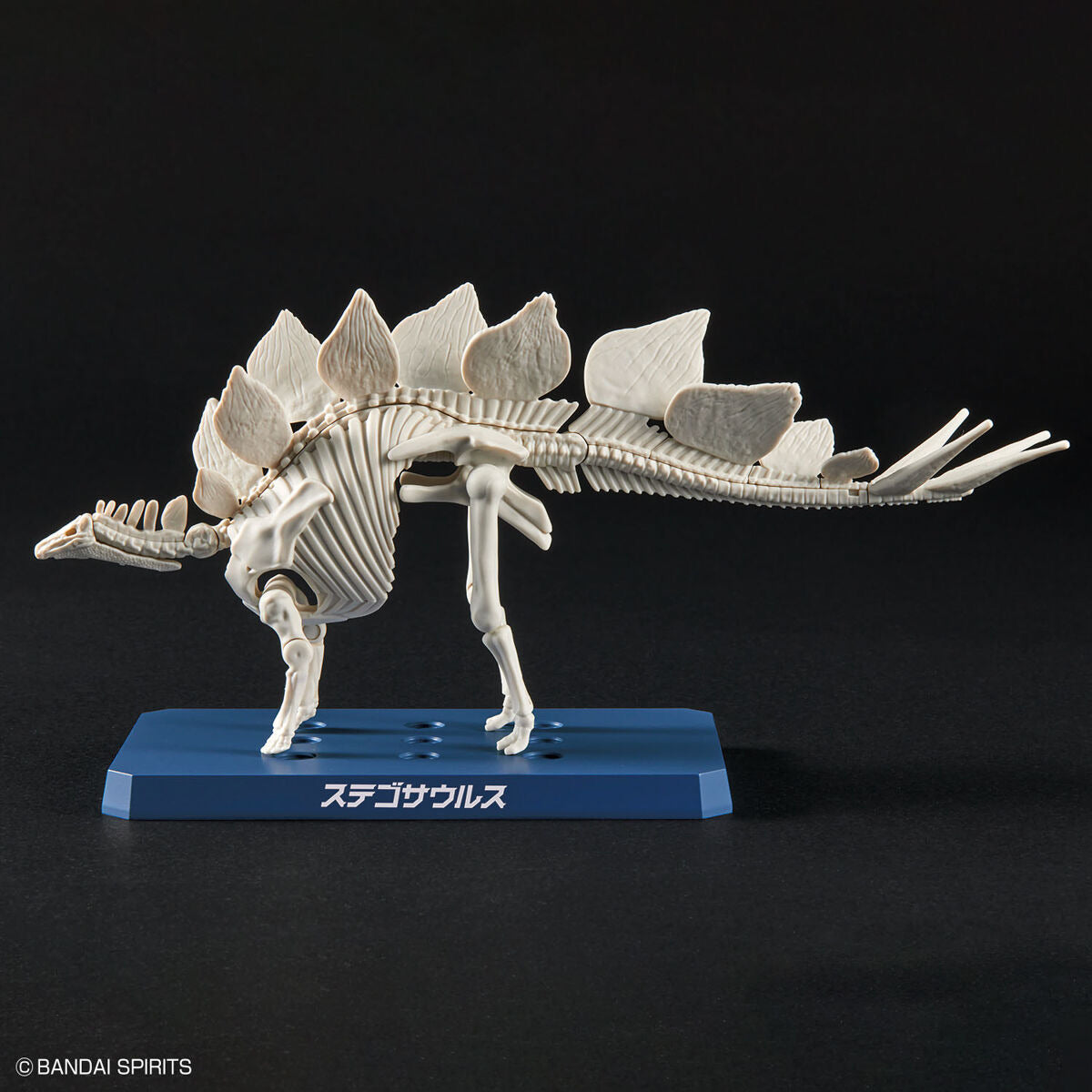 ﾌﾟﾗﾉｻｳﾙｽ03 ｽﾃｺﾞｻｳﾙｽ