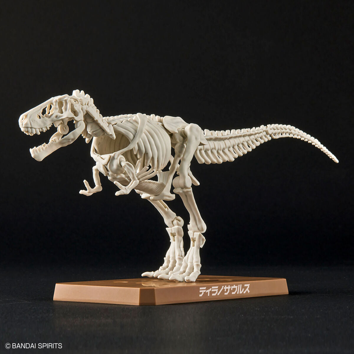 ﾌﾟﾗﾉｻｳﾙｽ01 ﾃｨﾗﾉｻｳﾙｽ