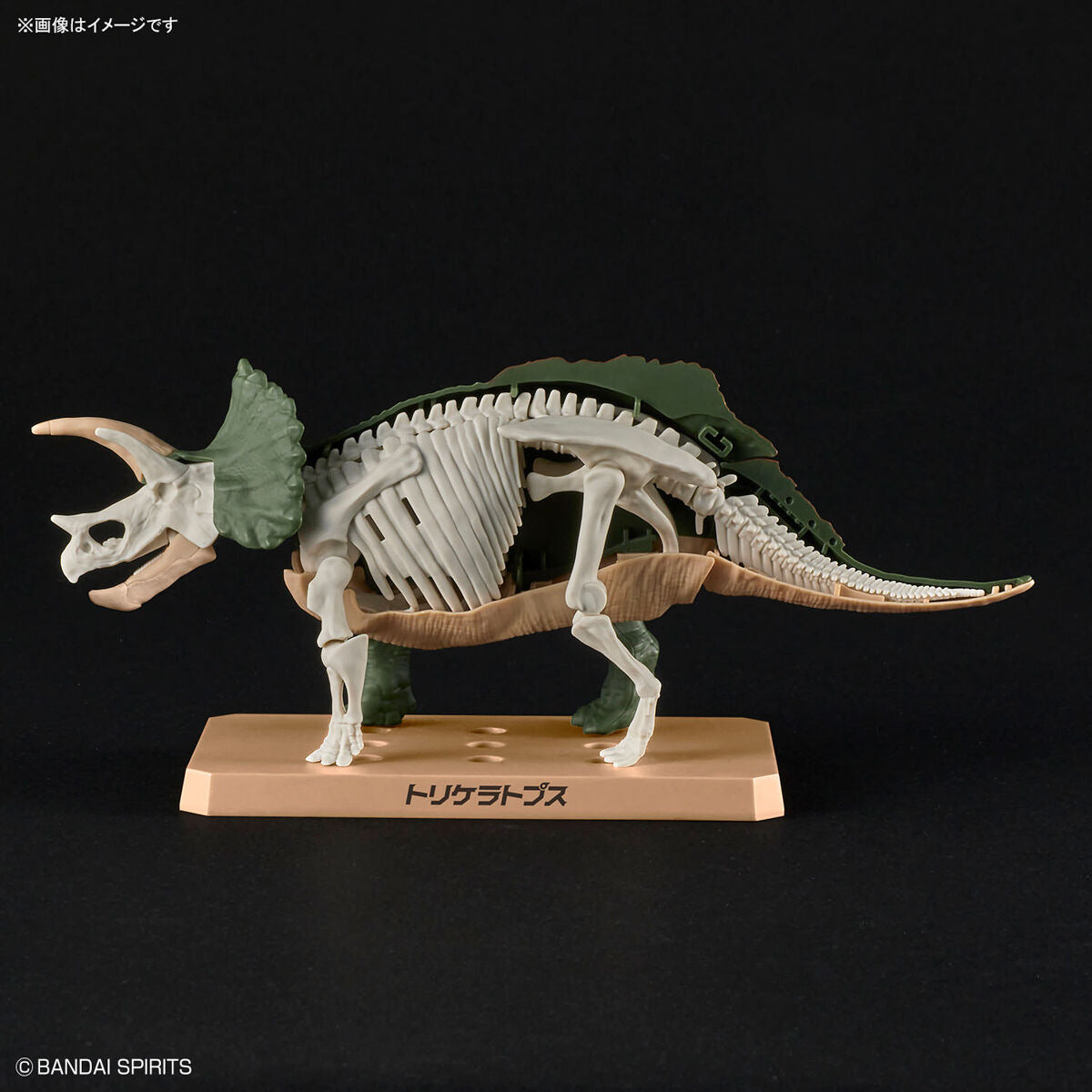 ﾌﾟﾗﾉｻｳﾙｽ02 ﾄﾘｹﾗﾄﾌﾟｽ