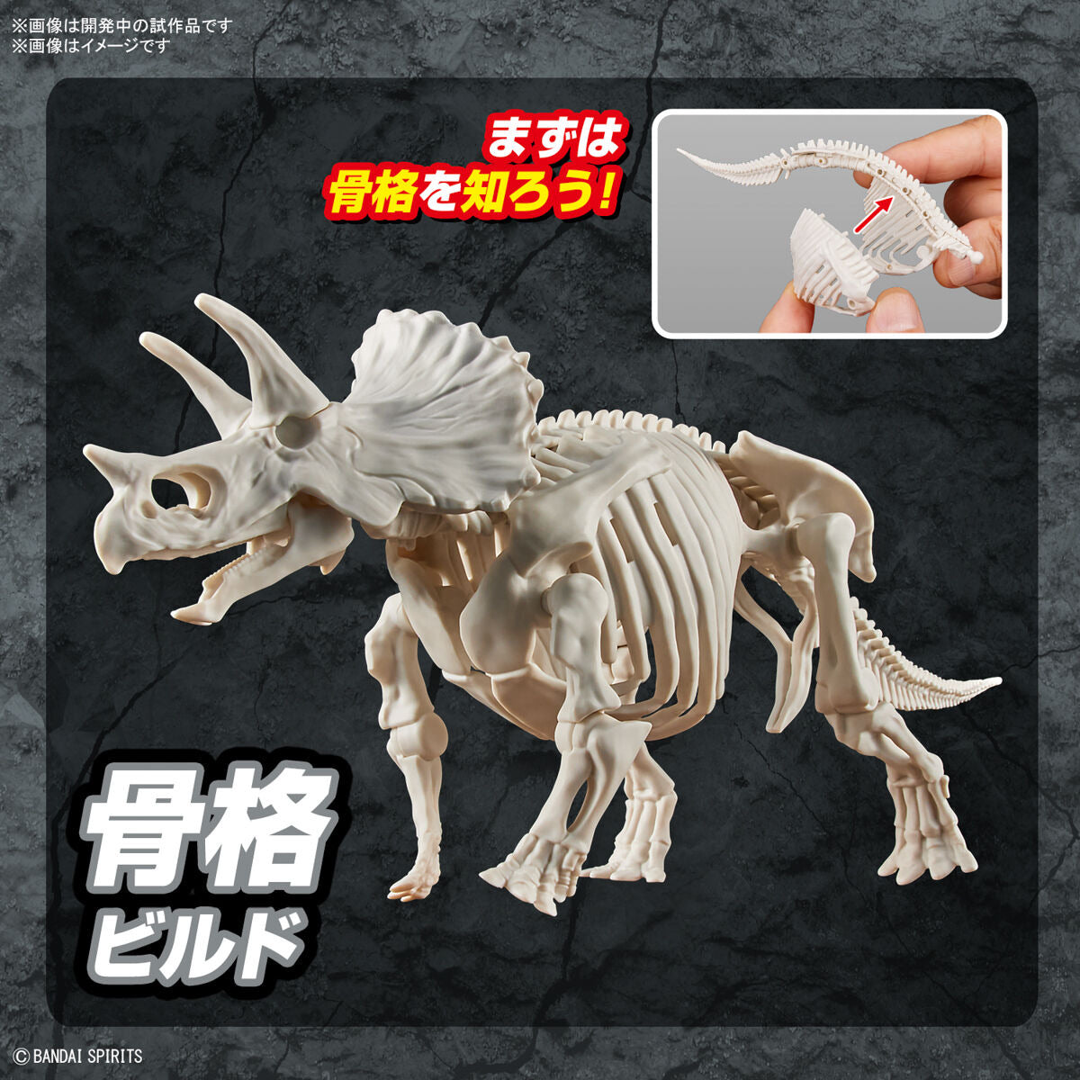 ﾌﾟﾗﾉｻｳﾙｽ02 ﾄﾘｹﾗﾄﾌﾟｽ