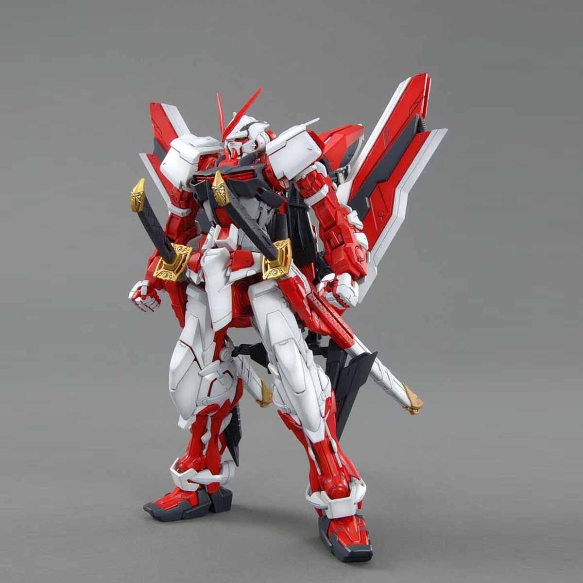 1/100MG ｶﾞﾝﾀﾞﾑｱｽﾄﾚｲﾚｯﾄﾞﾌﾚｰﾑ改
